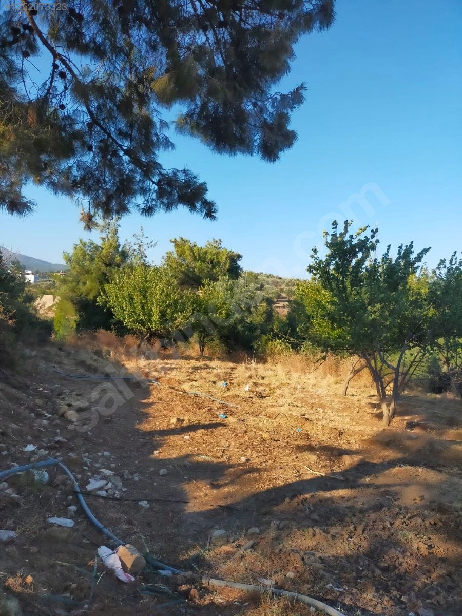 Satılık Arsa 850 M² Hatay / Antakya / Karlısu Mh. - HATAY ANTAKYA fotoğraf 4
