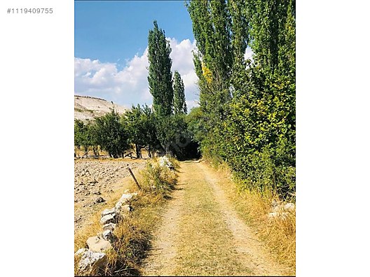  KÜTAHYA ÇAVDARHİSARDA SATILIK ARAZİ   1.066m² Kütahya / Çavdarhisar / İlçikören - KÜTAHYA ÇAVDARHİSAR fotoğraf 8