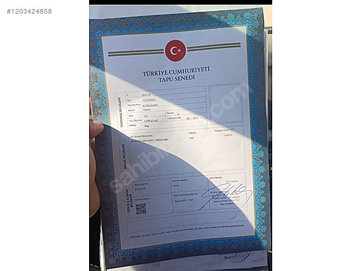 2 parsel toplam 5 dönüm 5.000 M² Hatay / Altınözü / Kozkalesi Mh. - HATAY ALTINÖZÜ fotoğraf 2