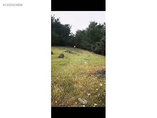 2 parsel toplam 5 dönüm 5.000 M² Hatay / Altınözü / Kozkalesi Mh. - HATAY ALTINÖZÜ fotoğraf 3