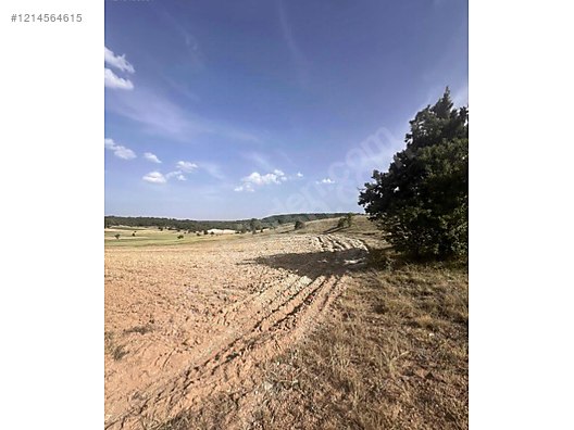 Kadastro Yoluna 75m Cepheli Köye 500m OSB Yakını Sahibinden Arsa 3.016m² - KÜTAHYA ASLANAPA fotoğraf 3