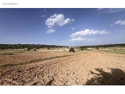 Kadastro Yoluna 75m Cepheli Köye 500m OSB Yakını Sahibinden Arsa 3.016m² - KÜTAHYA ASLANAPA fotoğraf 4