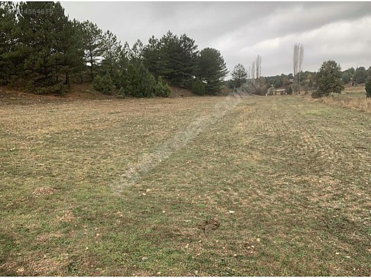 Kadastro Yoluna 75m Cepheli Köye 500m OSB Yakını Sahibinden Arsa 3.016m² - KÜTAHYA ASLANAPA fotoğraf 5