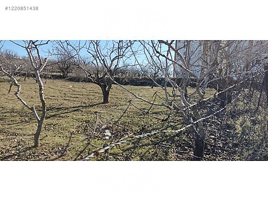 İMARLI ARSA 1.183 M² SATILIK Siirt / Merkez / Yeni Mah. - SİİRT MERKEZ fotoğraf 2
