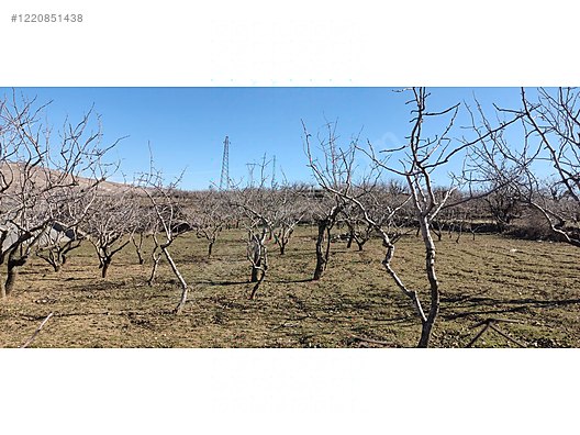 İMARLI ARSA 1.183 M² SATILIK Siirt / Merkez / Yeni Mah. - SİİRT MERKEZ fotoğraf 4