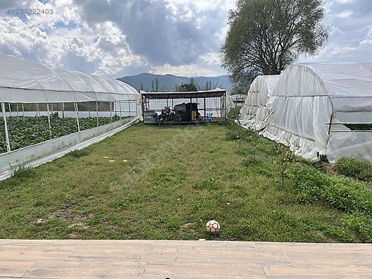 YALOVA MERKEZ KADİKÖY'DE 1.268  M²  TARLA  SATILIKTIR. - YALOVA MERKEZ fotoğraf 8