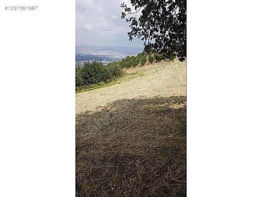 Fırsat tarla inegöl ve Uludağ manzaralı - BURSA İNEGÖL fotoğraf 4
