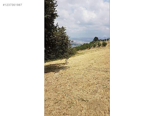 Fırsat tarla inegöl ve Uludağ manzaralı - BURSA İNEGÖL fotoğraf 5