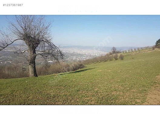Fırsat tarla inegöl ve Uludağ manzaralı - BURSA İNEGÖL fotoğraf 8