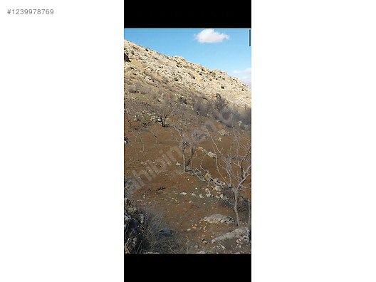 Siirt / Eruh / Fatih Mah. 4.293 M² SATILIK ARSA  - SİİRT ERUH fotoğraf 9