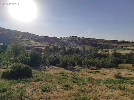 Mongokta Bağ ve Villa arsası 500 M² Muş / Merkez / Yeni Mh. - MUŞ MERKEZ fotoğraf 3