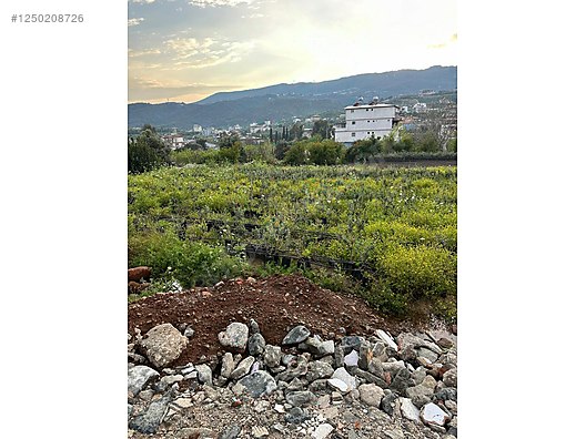 HATAY SAMANDAĞ YAYLICA MERKEZDE- 2 TARAFI YOL MÜKEMMEL KONUMDA - HATAY SAMANDAĞ fotoğraf 5