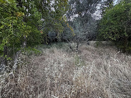 Güzel konumda satışa hazır arsa  1.152 M² Hatay / Altınözü / Yenişehir Mh. - HATAY ALTINÖZÜ fotoğraf 3