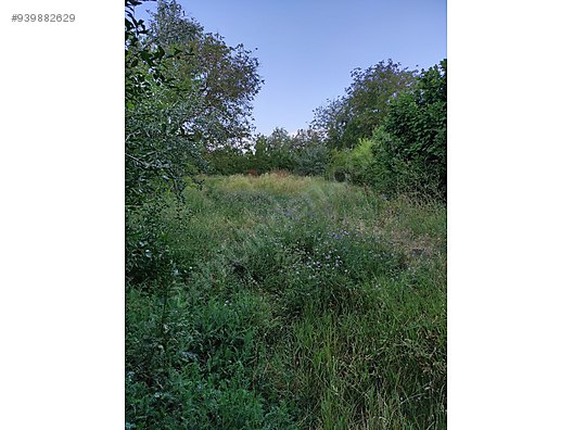 İKİKUBBE MAHALLESİ SATILIK KUPON ARSA 1.597 M²  - BİTLİS AHLAT fotoğraf 7
