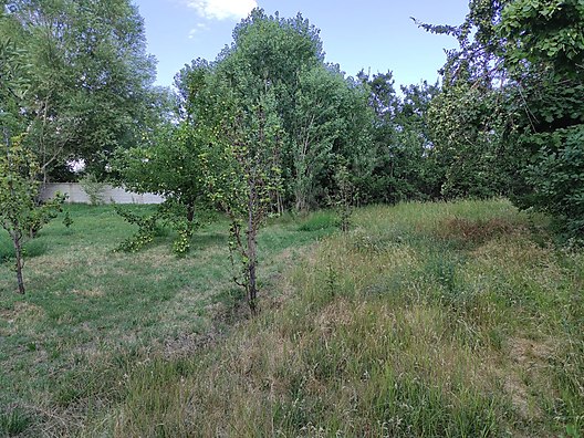 İKİKUBBE MAHALLESİ SATILIK KUPON ARSA 1.597 M²  - BİTLİS AHLAT fotoğraf 4