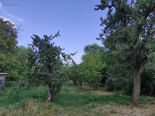 İKİKUBBE MAHALLESİ SATILIK KUPON ARSA 1.597 M²  - BİTLİS AHLAT fotoğraf 5