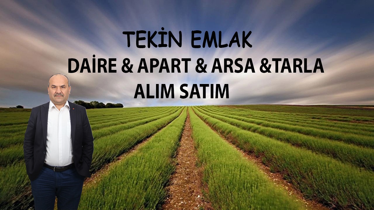 Firma Sahibi Profili