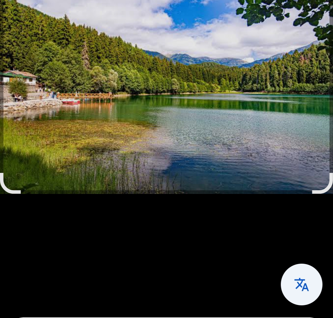 Seviye 5 Belgesi